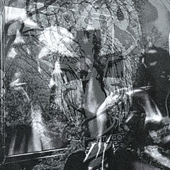 Stemmen Fra Tarnet / the Necro files