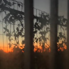 STRAIGHT FROM THE MIXER VOL.11