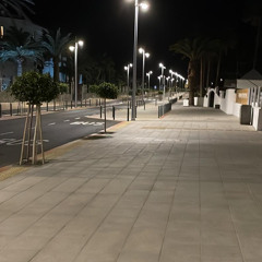 Trouble- Elvis Presley.m4a