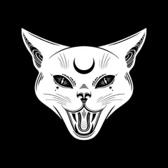 Yellow Claw - DJ turn it up (MVRY BLVCKROSE Shitmix)