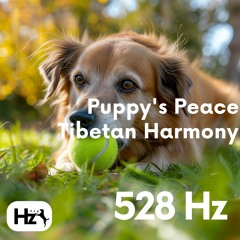 528 Hz Happy Dog
