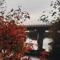 beautiful things (please stay)