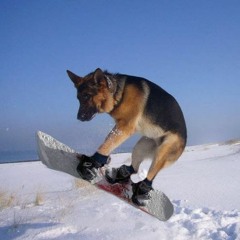 Niereich Vs Shadym - Turn Your Back (Original Mix)