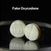 下载视频: fake 30