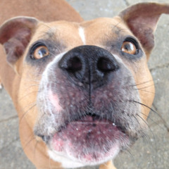 tell me why version 2