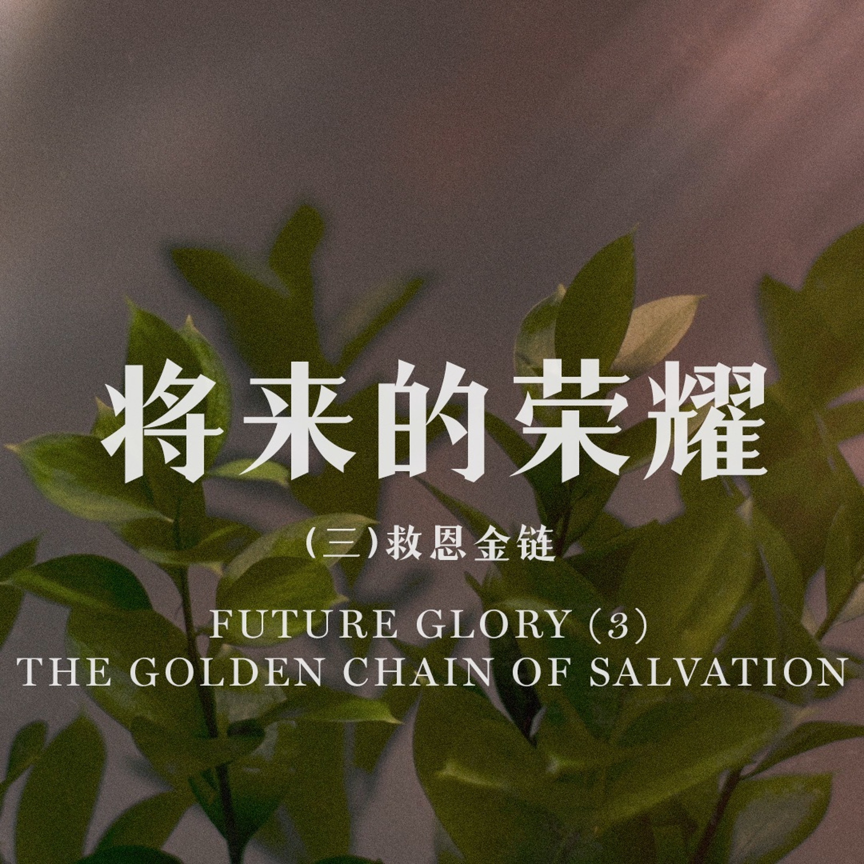 07/28/2024 【罗马书】将来的荣耀（三）救恩金链（罗 8:28-30）——王唯权 牧师 episode artwork