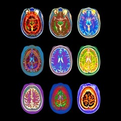 AMYGDALA (BUBBLING)