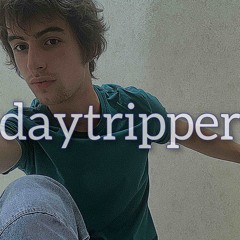 daytripper