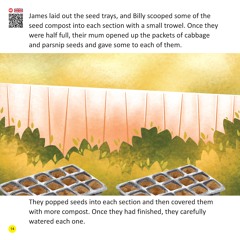 Go Green GROW your own food - Page 14