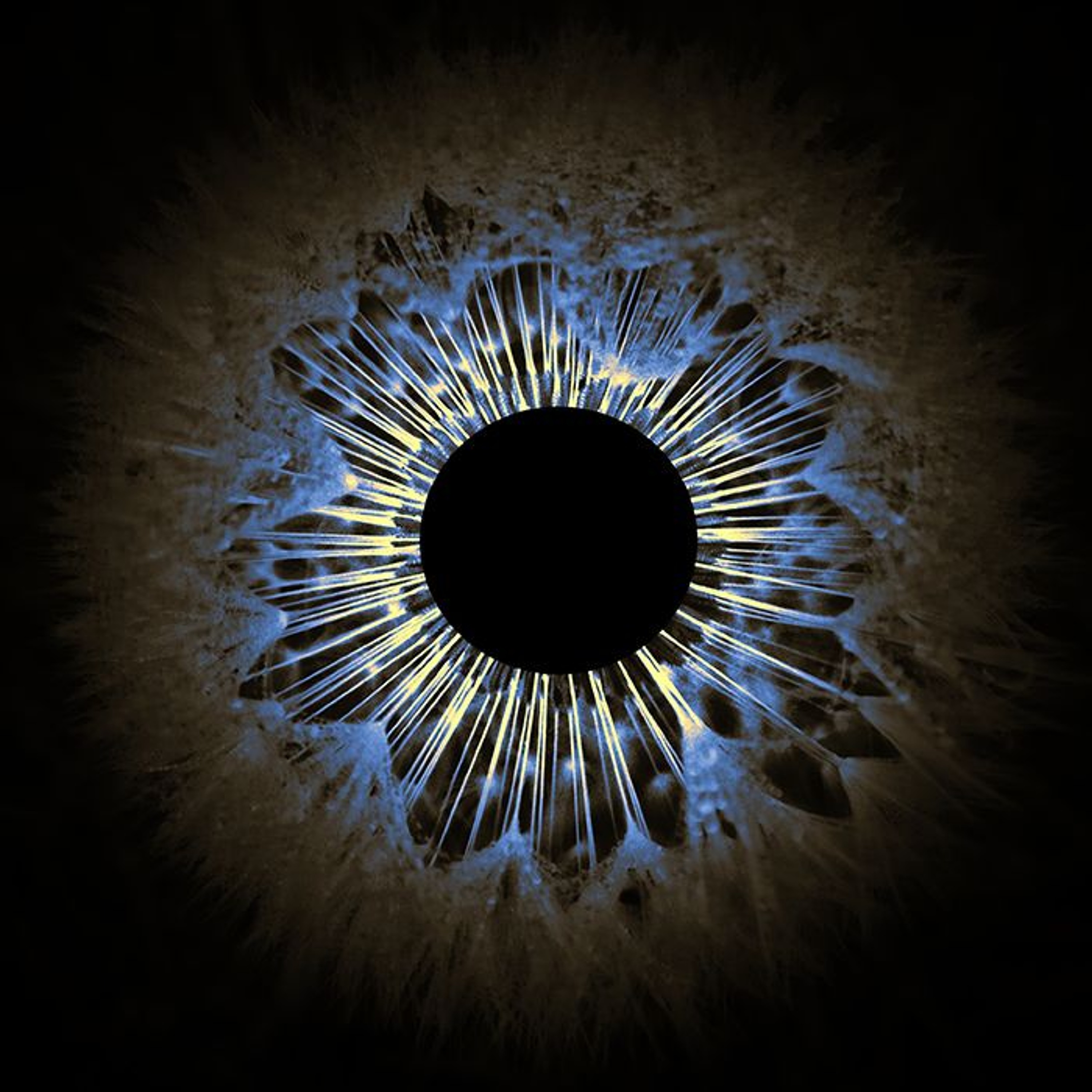 Off The Meds - Currency Low (NIVL Remix) episode artwork