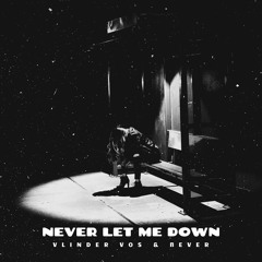 Vlinder Vos & ∏EVER  - Never Let Me Down