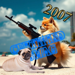 CERTIFIED SWAG 2007 #НЕФОРСИТЬ