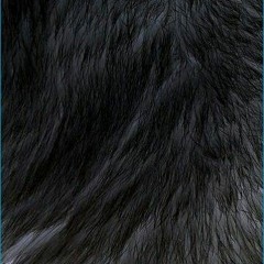 4_4_20_mix03_Shake_Sum_ mix FLIP LILLOWEビートCOLLECTION LLC