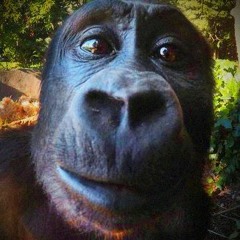 Ape 0 Ape (ft Sakiskid)