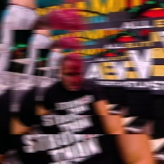 EXCUSE THE ROUGHNESS