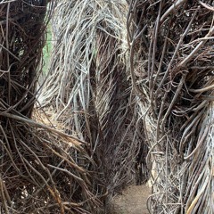 Jett. - third up (2023)