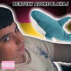 Bertoxy adore blahaj