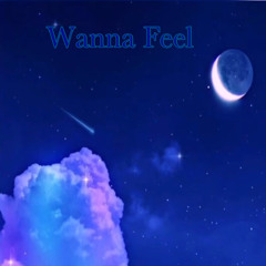Wanna Feel