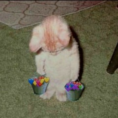 Last Day of High School