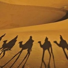 Caravan