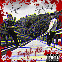 Freestyle pt2 (feat. 3ayedisSlixk)