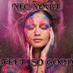 Nec Nymbl - Feel So Good ( Instrumental )