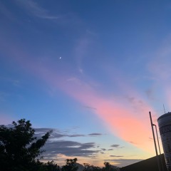 Lời yêu trên đầu môi - MRZAY