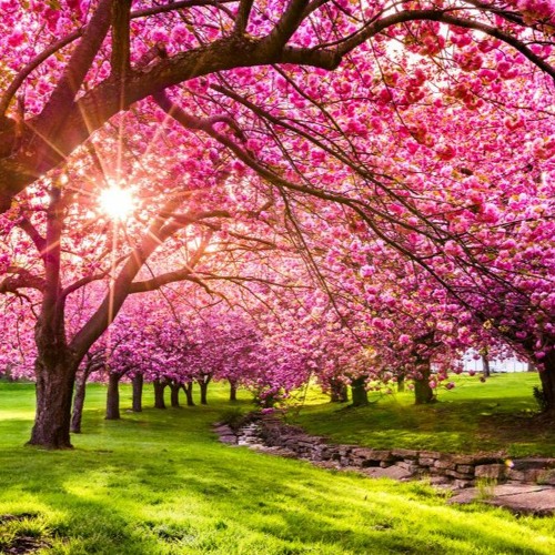 Spring 2023 🌸