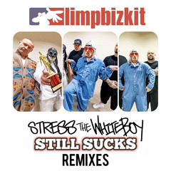 Limp Bizkit • Turn It Up Bitch (STWB REMIX)