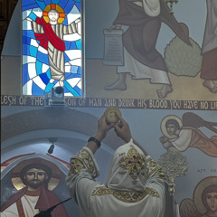 Fr Moses St Shenouda - Agios Agios Agios + The Institution Narrative