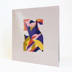 Seba & Paradox - 'Unfold' - (Seba & Paradox 12" 005)