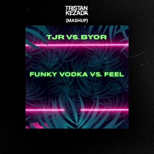 Funky Vodka vs. Feel - TJR vs. BYOR (Tristan Kezada Mashup)