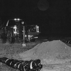 Horsepower Freestyle