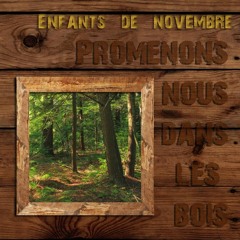 Promenons nous dans les Bois - Deepman & Luciole Langevine