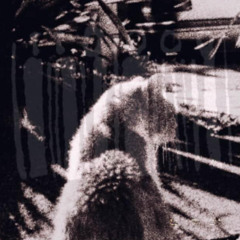 lost in meaning. Prod. digital sleeper