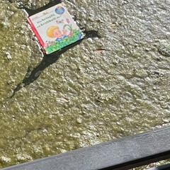 waterlevel