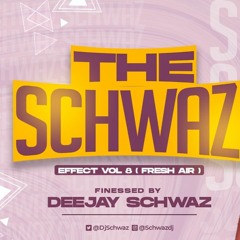 THE SCHWAZ EFFECT VOL  8 (FRESH AIR )