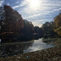 Come Thou Fount of Every Blessing Acoustic Instrumental