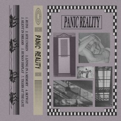 Panic Reality- a site unseen
