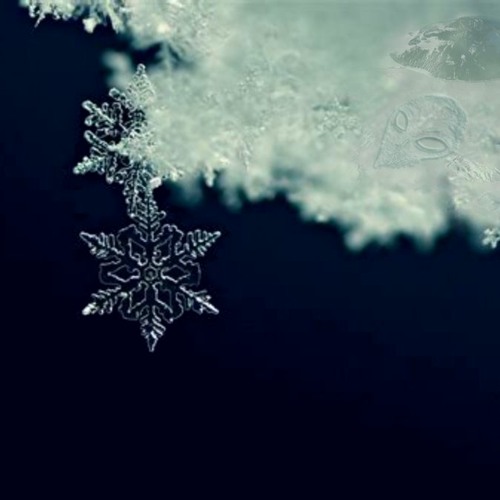 Snowflake Theory