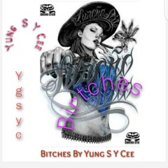Bitches(freestyle) by yung s y cee