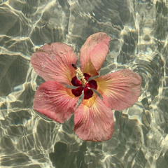 i c y . . . 🌺 - glamorous . . . ❤