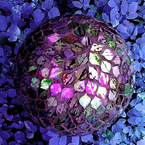 My Love Can See The Future