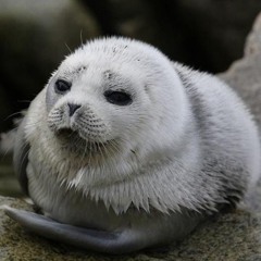 хуйня всякая