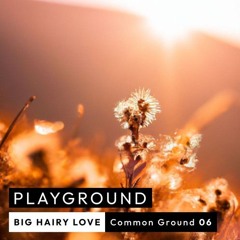 Common Ground 06 - Big Hairy Love