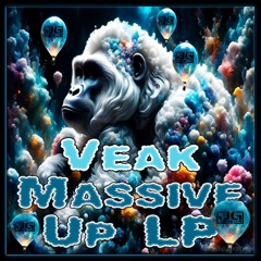 JUNGLE GYM AUDIO-VEAK-MASSIVE UP LP-PROMO MIX-SCIBES-FINAL MIX