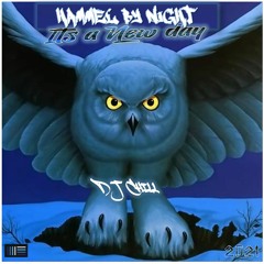 DJ Chill - Hammel By Night  (its A New Day)