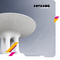 Aufgang (Auricle Dub)