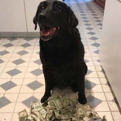 bankroll (rimerensu)