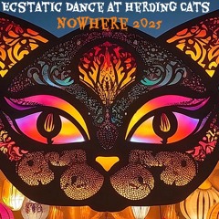 Ecstatic Herding Cats at Nowhere